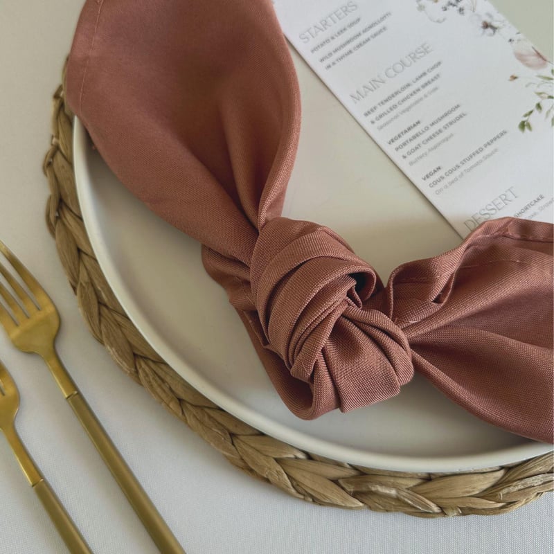 Poly Napkin - Terracotta