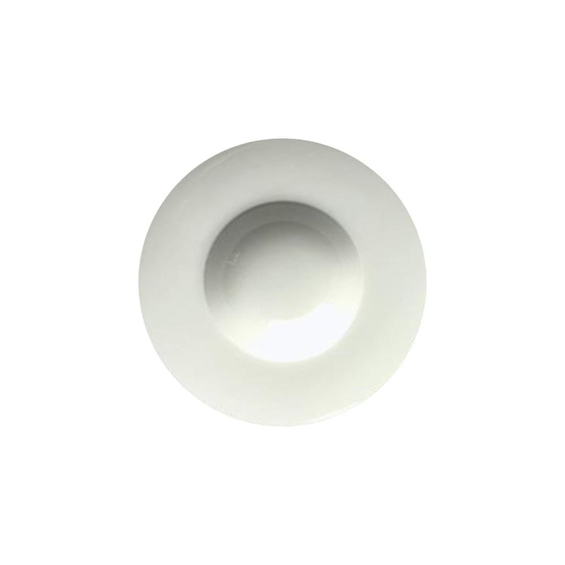 Porcelain 9.25" Bowl