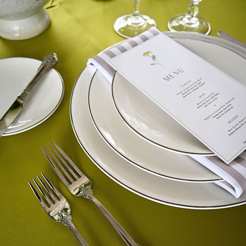 Silver Rim Porcelain Dinnerware Set