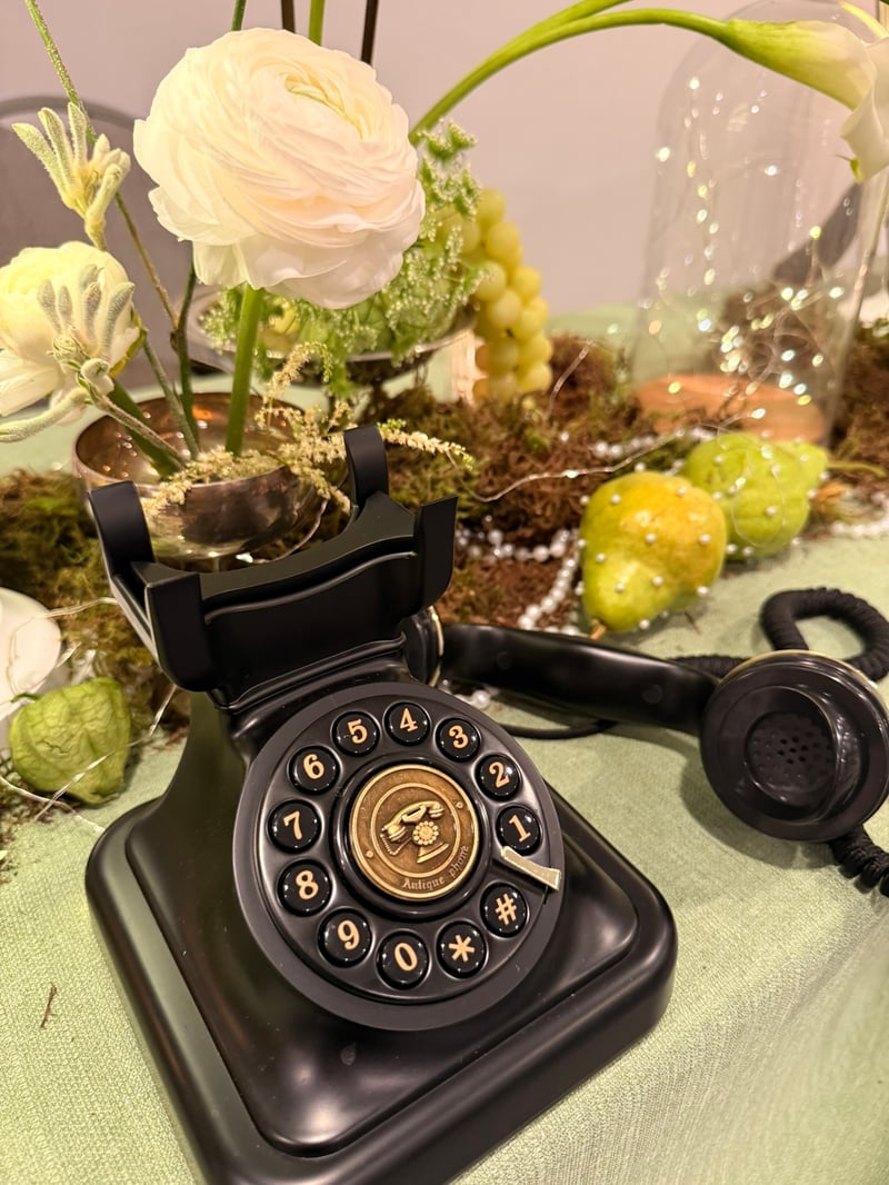 The Line Audio Guestbook (Choice of Phone Colour)