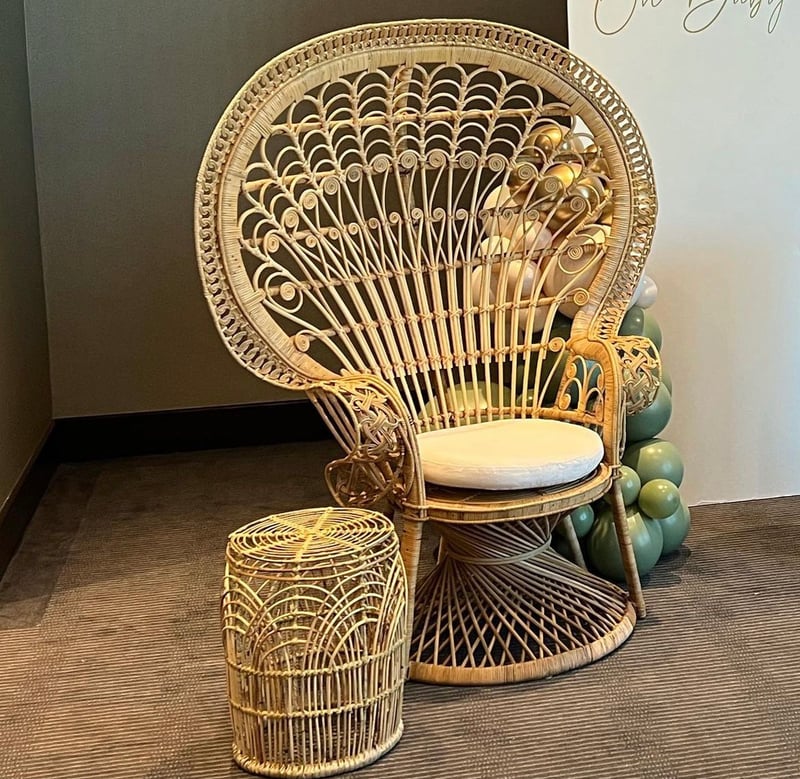 Boho Peacock Chair