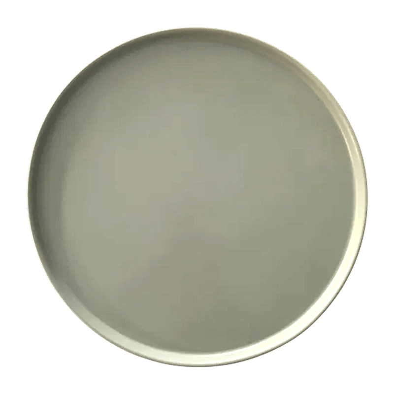 Terra Matte 12" Porcelain Charger Plate - Sage