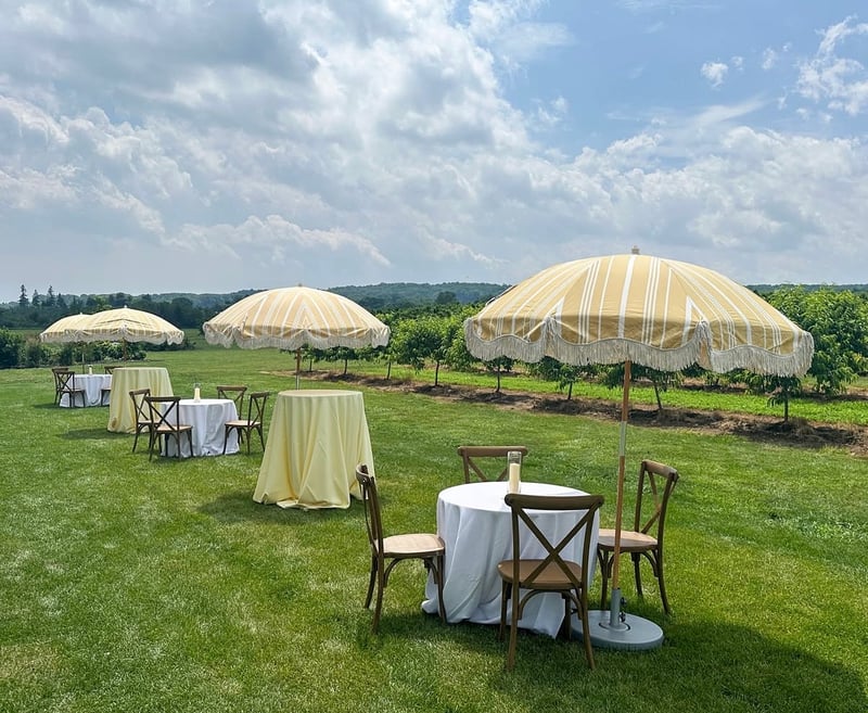 Yellow Stripe Fringe Umbrella