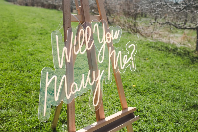 Will You Marry Me? - Neon Light